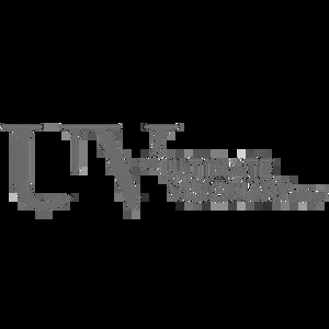 too-the-ultimate-visionary-group